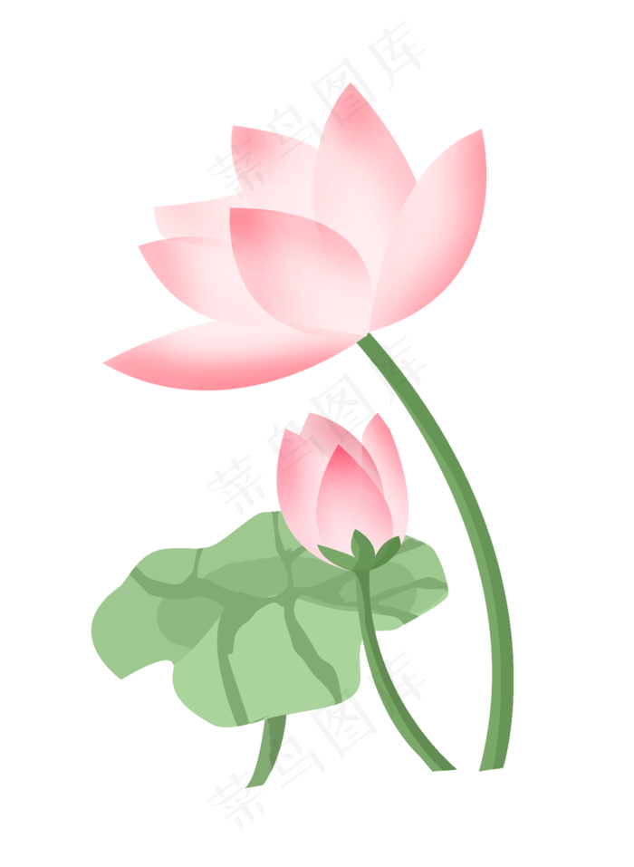 中国风手绘荷花(2000X2735(DPI:300))psd模版下载