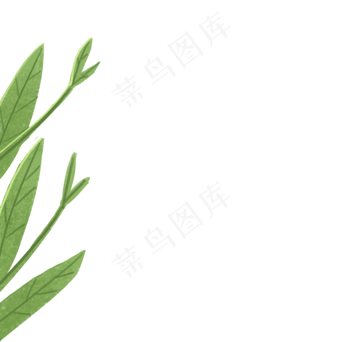 绿色的植物叶子免扣图