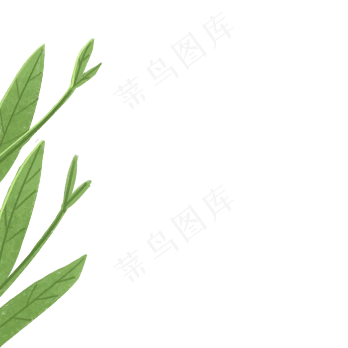 绿色的植物叶子免扣图(2000X2000(DPI:300))psd模版下载