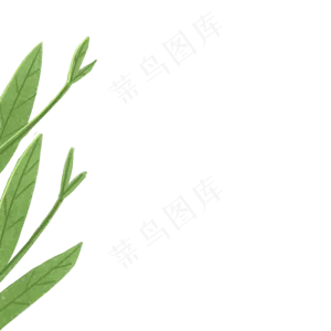 绿色的植物叶子免扣图