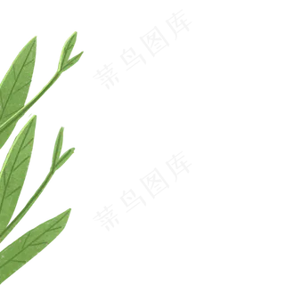 绿色的植物叶子免扣图