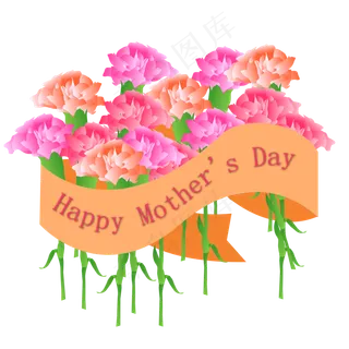 妇女节康乃馨插图PNG免抠
