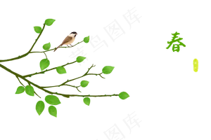春天嫩树枝和小鸟PNG