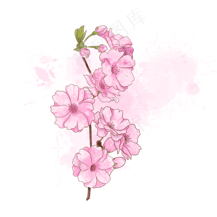 春季水彩粉色桃花花枝(2000X2000(DPI:300))psd模版下载