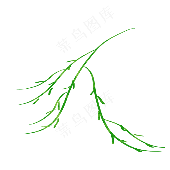 手绘插画风格植物