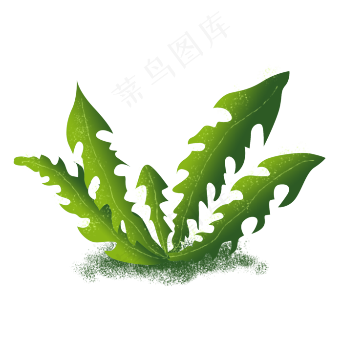 春天绿植蒲公英叶子手绘,免抠元素