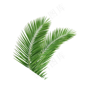 卡通植物绿色叶子下载