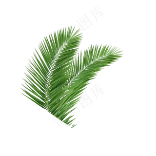 卡通植物绿色叶子下载