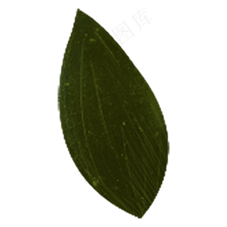 一片黄绿色的树叶