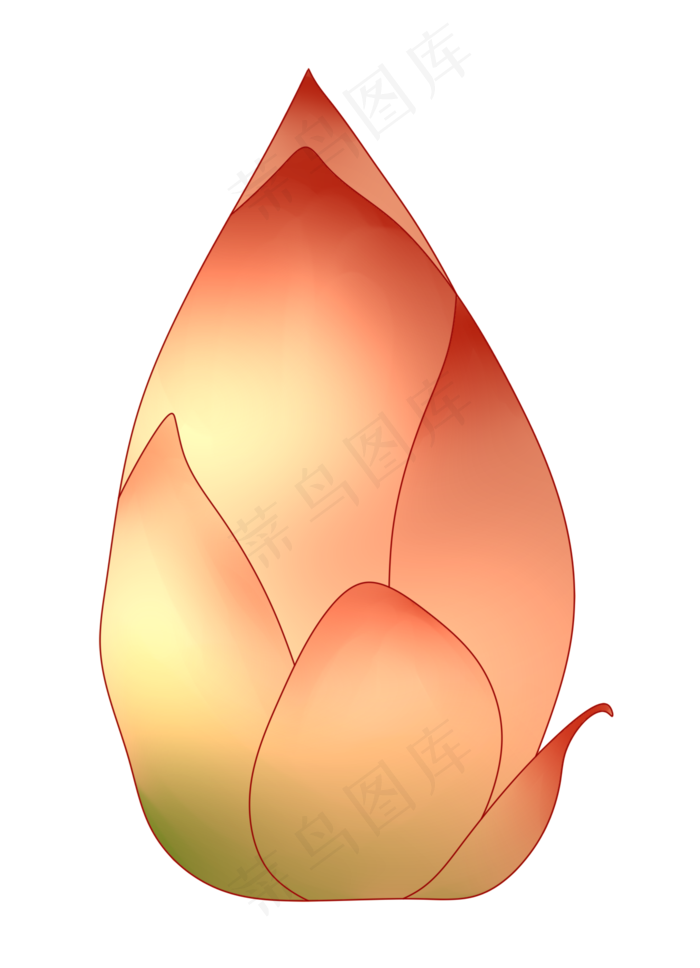 一朵鲜花荷花插画