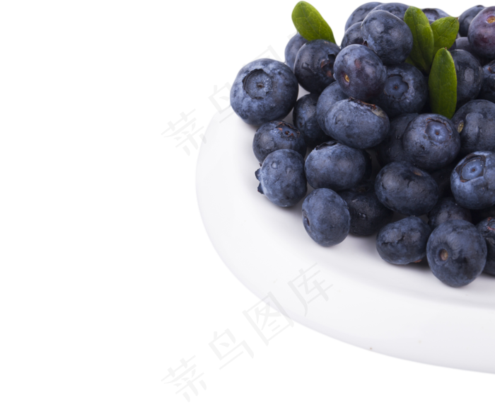 无公害蓝莓好吃美味