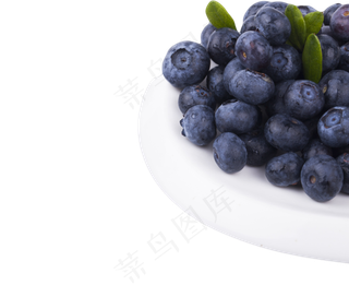 无公害蓝莓好吃美味