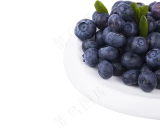 无公害蓝莓好吃美味