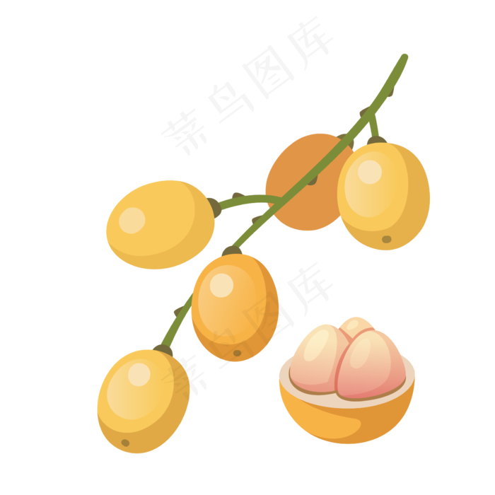 卡通手绘南方水果枇杷