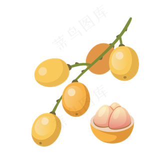 卡通手绘南方水果枇杷