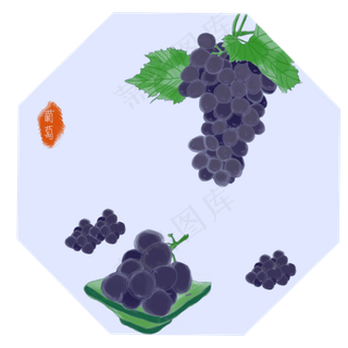 夏日水果葡萄紫色甜蜜PGN