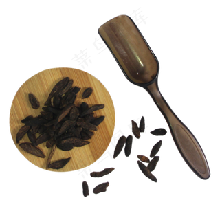 香附子中药药材,免抠元素