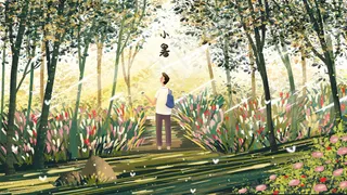 夏日爬山森林风景