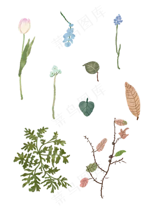 植物水粉树枝树叶商用元素