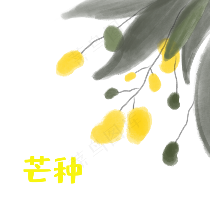 水彩风二十四节气芒种(2500X2500(DPI:300))psd模版下载