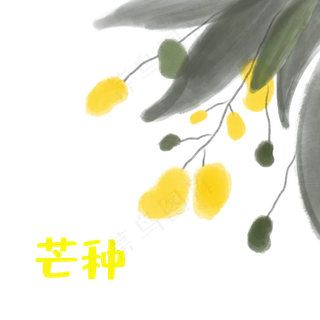 水彩风二十四节气芒种