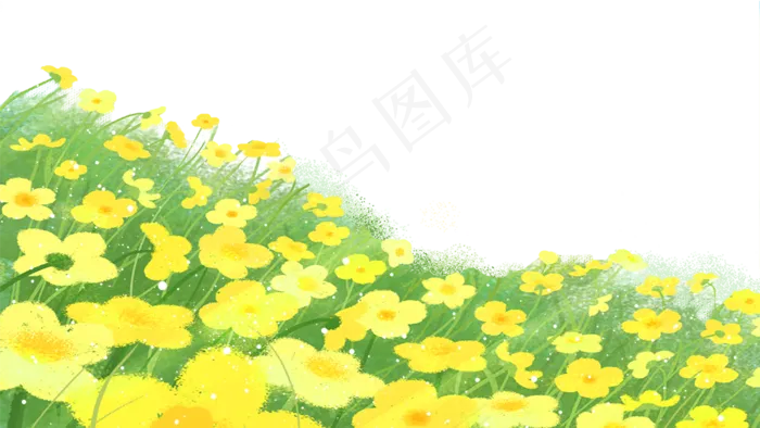 春天油菜花浪漫花海,免抠元素(1000X563(DPI:300))psd模版下载