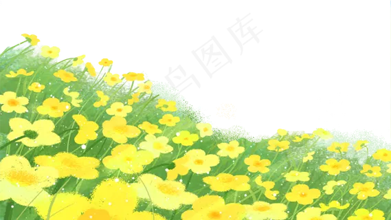 春天油菜花浪漫花海,免抠元素