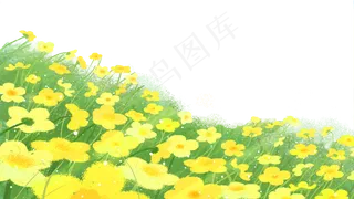 春天油菜花浪漫花海,免抠元素