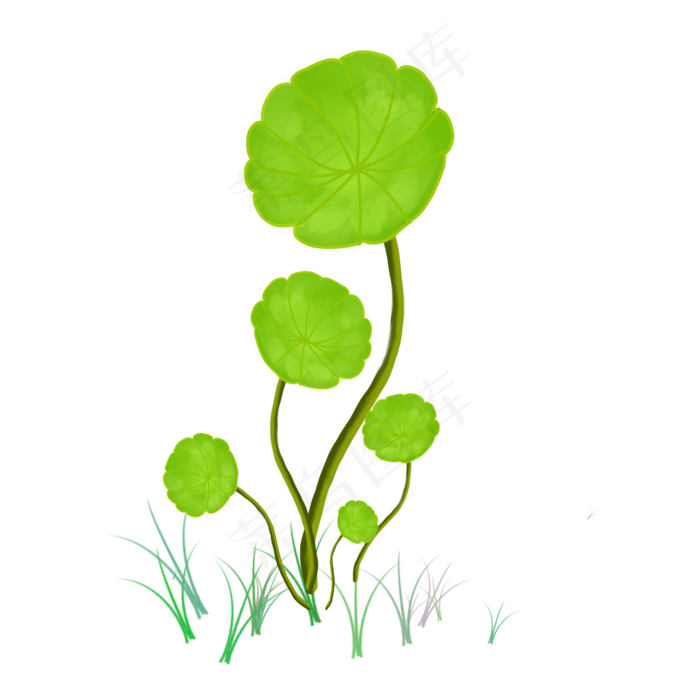 手绘卡通植物树叶(2000X2000(DPI:300))psd模版下载