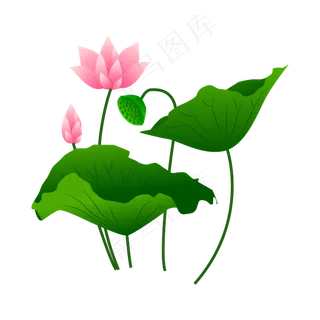 手绘卡通粉色莲花