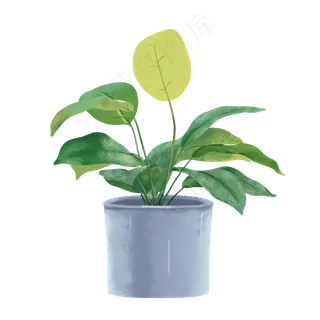 手绘清新绿植盆栽,免抠元素