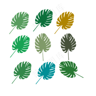 龟背叶的九宫格色