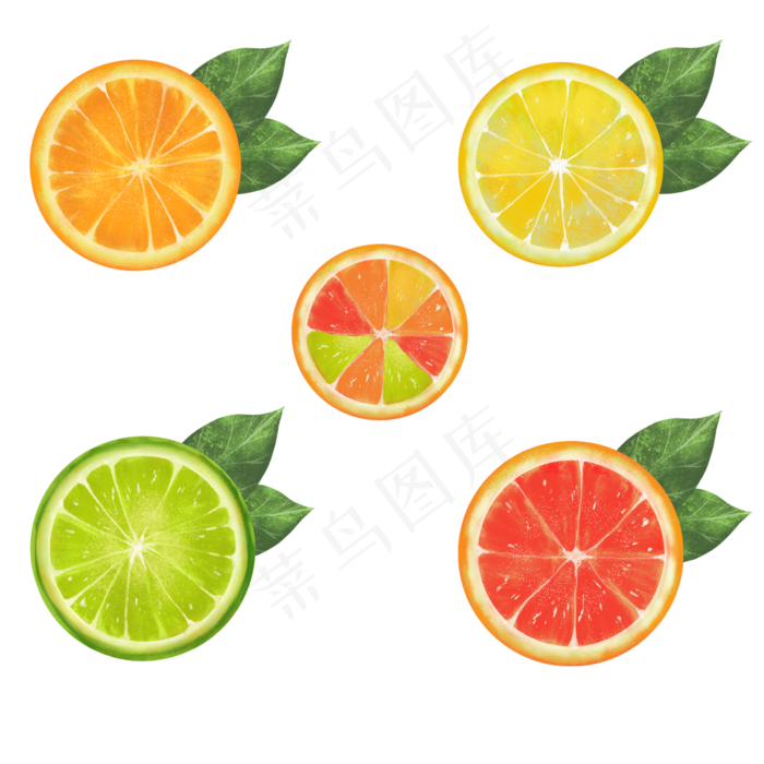 5款水果切片矢量素材