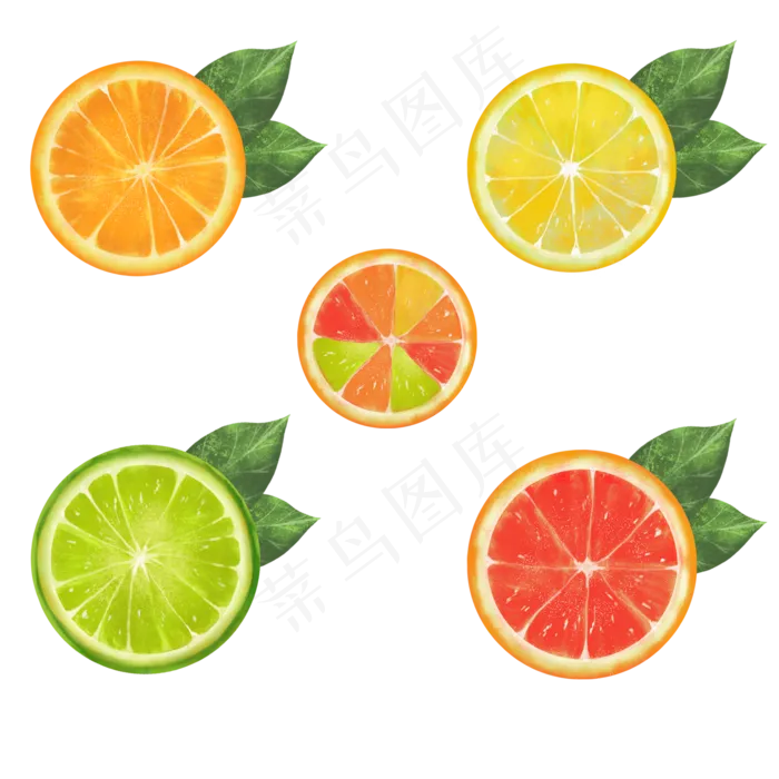 5款水果切片矢量素材(2000X2000(DPI:300))psd模版下载