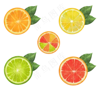 5款水果切片矢量素材