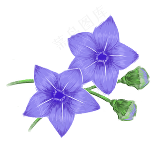 卡通紫蓝色的喇叭花朵免扣图