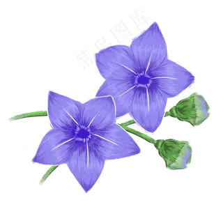 卡通紫蓝色的喇叭花朵免扣图