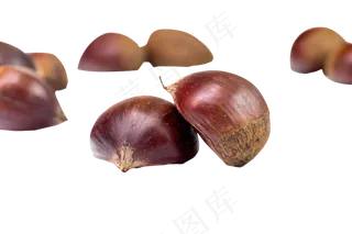 白色板栗,免抠元素