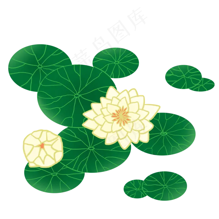 黄色荷花植物(2000X2000(DPI:300))psd模版下载