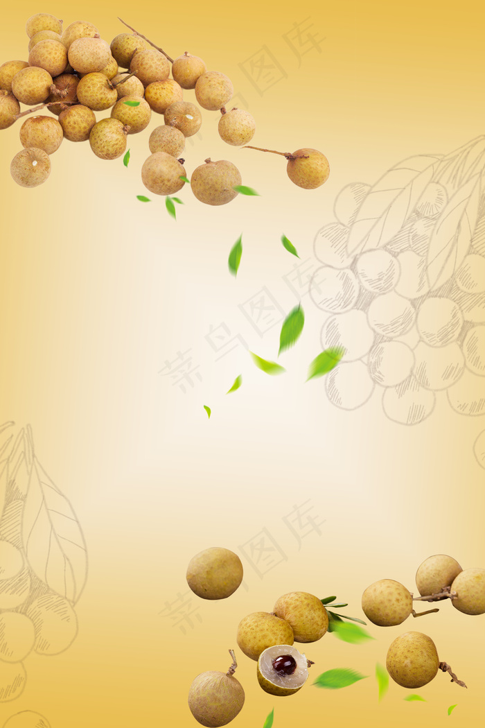 简约水果美味桂圆