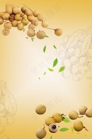 简约水果美味桂圆