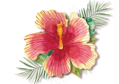 水彩绿植花卉花朵