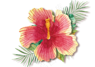 水彩绿植花卉花朵