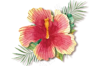 水彩绿植花卉花朵