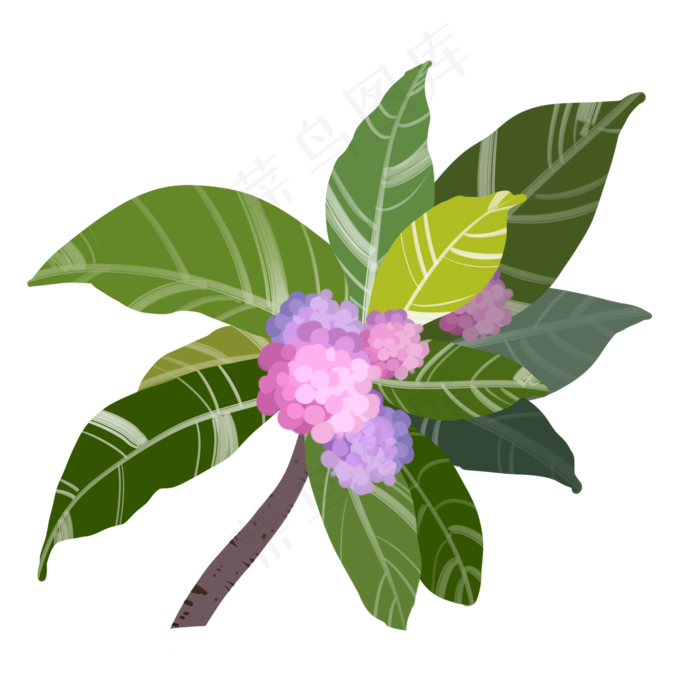 春天花朵卡通插画