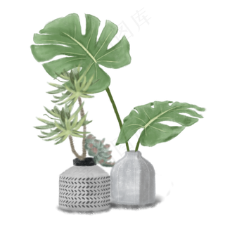 实物插花龟背竹多肉,免抠元素