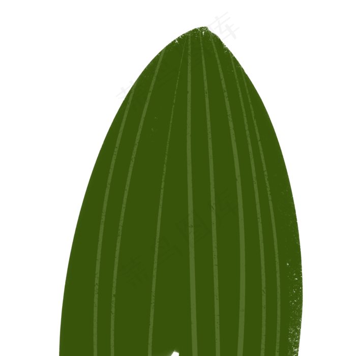绿叶春季自然植物
