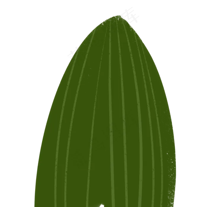 绿叶春季自然植物