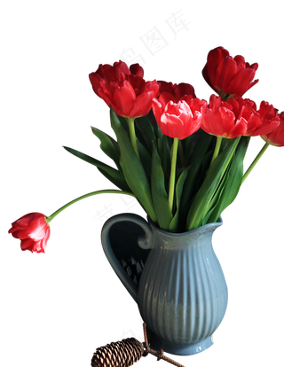 红色郁金香插花