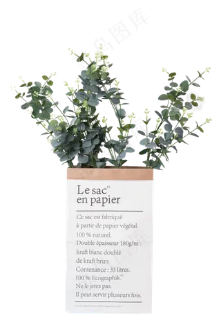 北欧盆栽绿植,免抠元素